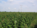 IMG_2673.JPG