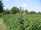 IMG_2674.JPG