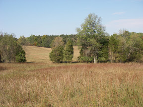 Imgp0570