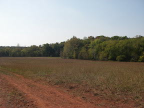 Imgp0573