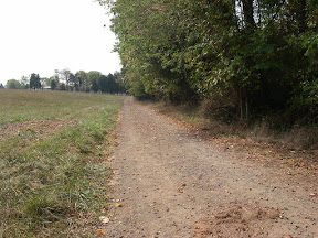 Imgp0591