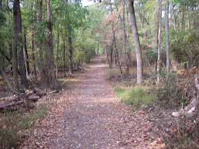 Imgp0592