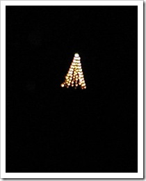 Weihnachtsbaum auf d. Kalsmunt (1)