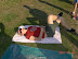 DSCN4004.JPG
