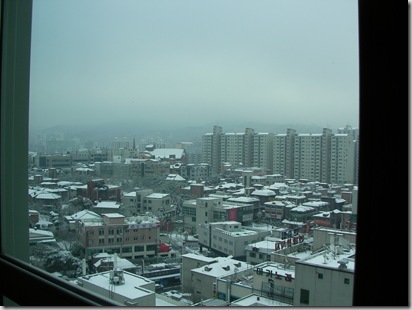 snowy view from my window
