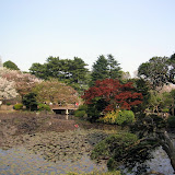 Shinjuku Gyoen National Park in April 2007