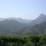 The forested hills of Yakushima