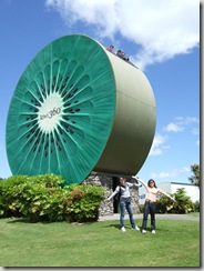 tauranga07