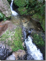 nelson06