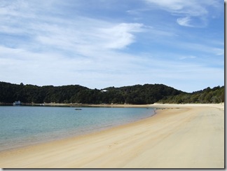 nelson08