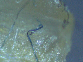crusyy rolled w denim 200x.jpg
