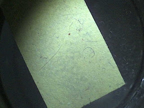 table surface dust collected with postit 10x.jpg
