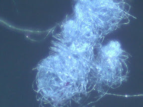fuzzball blue cotten towel 60x.jpg