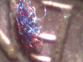 rwb fuzzball on penny 60x.jpg