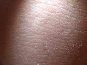 fiber on skin.jpg