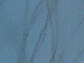 flouresenct acrylic bottom 200x.jpg