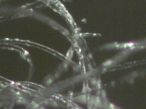 acrylic w sebum side lit 2 200x.jpg