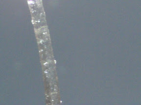 eyelash 200x.jpg