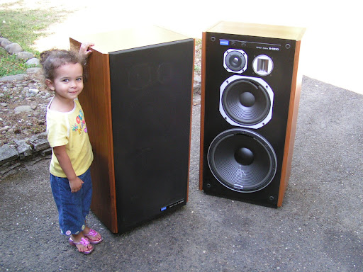 pioneer hpm 110x