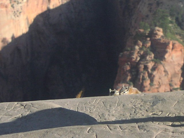 [P6170038.jpg]