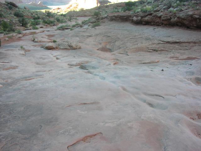 [P6210227.jpg]