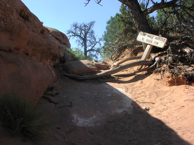 [P6220258.jpg]
