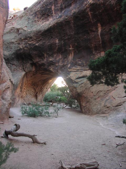 [P6220260.jpg]