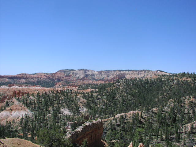 [P6190137.jpg]