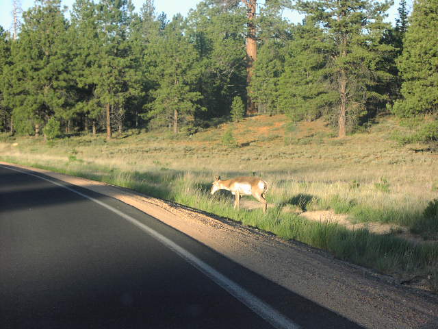 [P6200175.jpg]