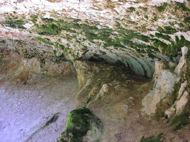 [P6200193.jpg]