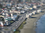 Lyall Bay miniature