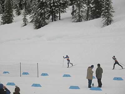 IMG_2447.jpg