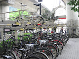 IMG_3499.JPG