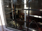 PICT0146.jpg