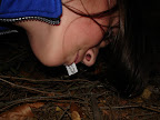 DSC03521.JPG
