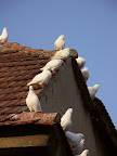 PICT0165.jpg