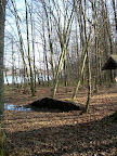 DSCN0550.JPG