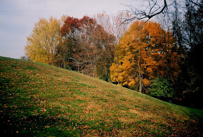 Olympus on Fall Pictures  Olympus 35 Rc Rangefinder