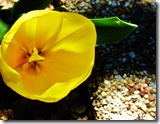 Spring Break '08 063