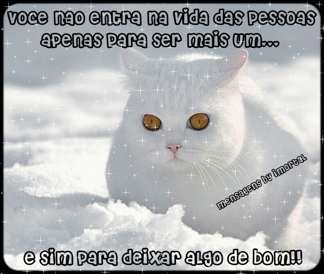 orkutte