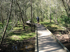 The broad walk takes you from the picnic grounds across some swampy ground to the bank of the river.