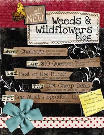 new-blog-ad