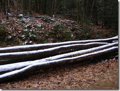 Grumes sous la premi&egrave;re neige
