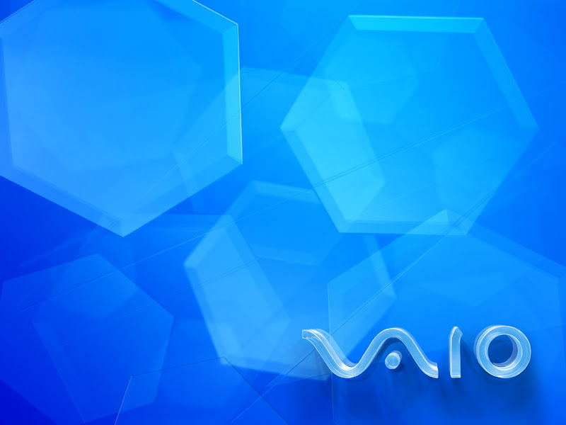 Wallpaper VAIO vaio_winter_daytime_1024.jpg WallpaperVAIO - http://henku.info