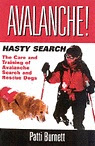 Avalanche! Hasty Search