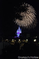 Wishes!