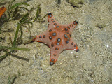 PA100016.JPG
