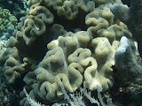 PA120093.JPG