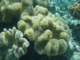 PA120094.JPG