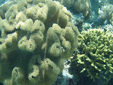 PA120096.JPG